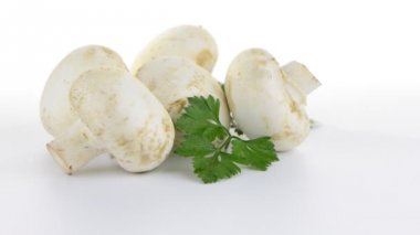 champignon mantar beyaz agaricus maydanoz ile