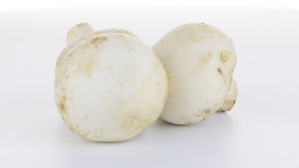 Champignon mushroom white agaricus with parsley — Stock Video
