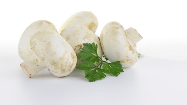 Champignon mantar beyaz agaricus maydanoz ile — Stok video