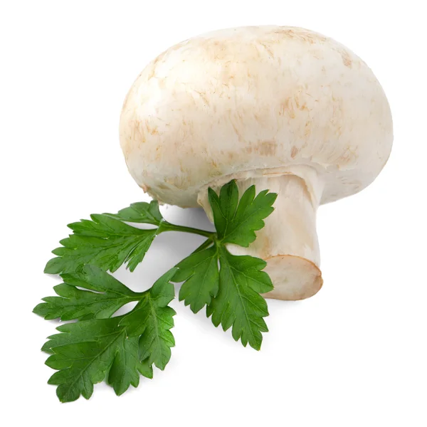 Champignon mushroom and parsley leaves — Stock Photo, Image