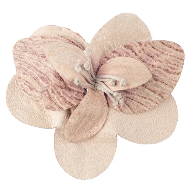Bőr rózsaszín virág — Stock Fotó
