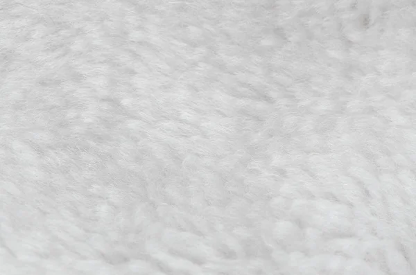 Beyaz kürk — Stok fotoğraf