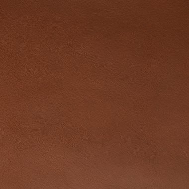 Turuncu deri dokusu portre