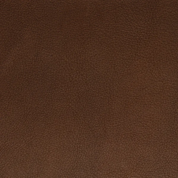 Brown leather texture closeup — Stock Photo, Image