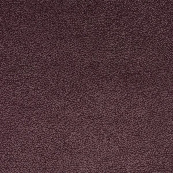 紫皮革テクスチャのクローズ アップ — ストック写真
