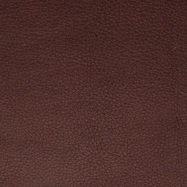 Lila läder textur närbild — Stockfoto
