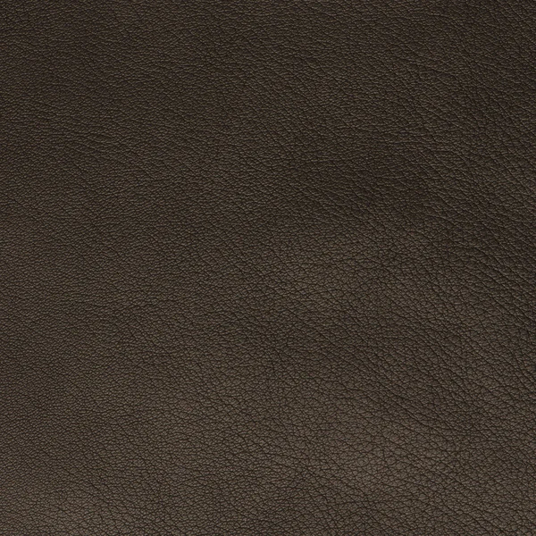 Green leather texture closeup — Stock Photo, Image
