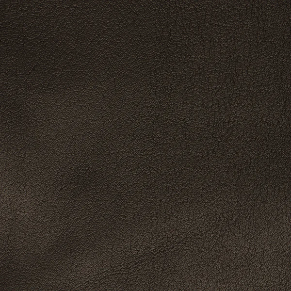 Green leather texture closeup — Stock Photo, Image