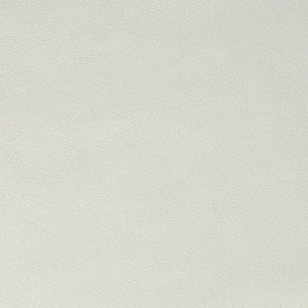 Textura de couro branco close-up — Fotografia de Stock