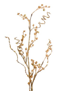 Altın christmas dekorasyon şubeleri