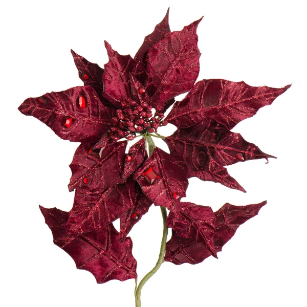 Red Christmas decoration — Stock Photo, Image