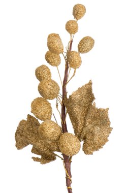 Altın christmas dekorasyon şubeleri