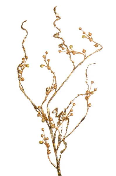 Golden Christmas decoration branches — Stock Photo, Image