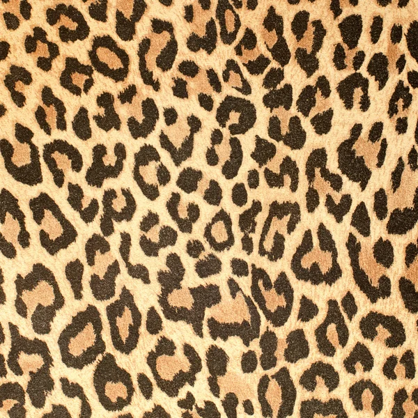 Leopard leather pattern texture closeup — Stock Photo, Image