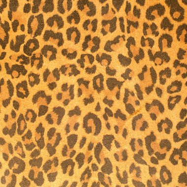 Leopar deri desen doku portre