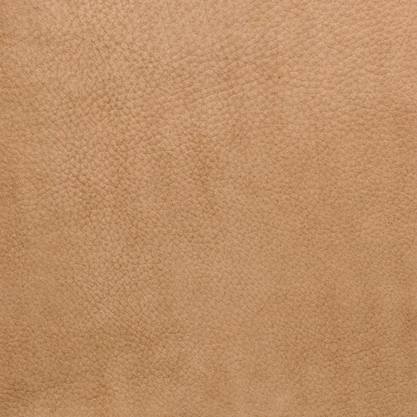 Brown leather texture closeup — Stock Photo, Image