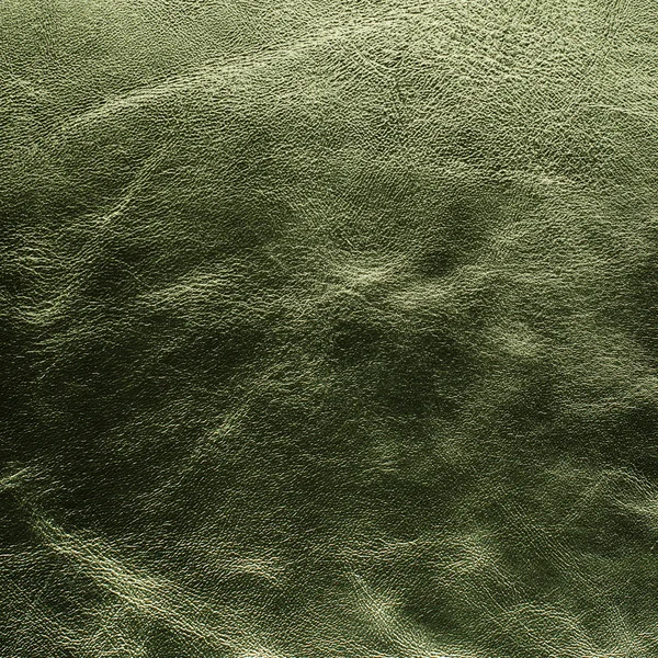 녹색 가죽 — 스톡 사진