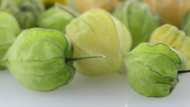 Physalis fruit — Stock Video