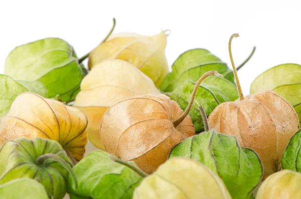 Fruta Physalis — Fotografia de Stock