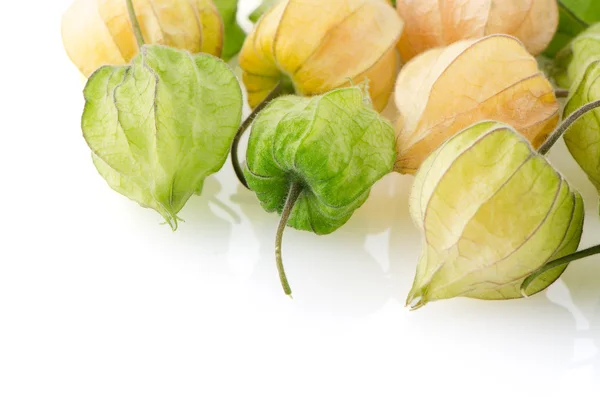 Fruta Physalis — Fotografia de Stock