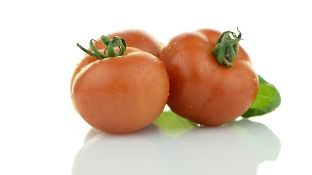 Vegetables still life — Stock Video