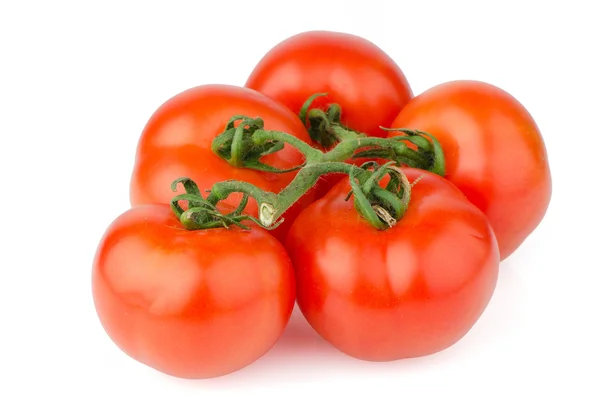 Rote reife Tomate — Stockfoto