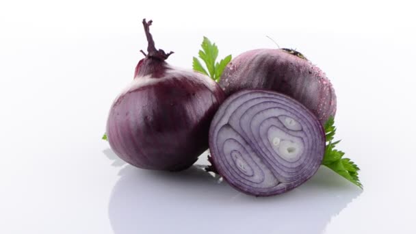 Red onion rotating — Stock Video