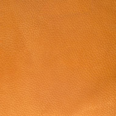 Turuncu deri dokusu portre
