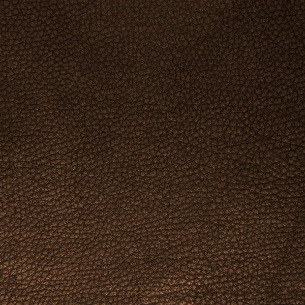 Bruine lederen textuur — Stockfoto