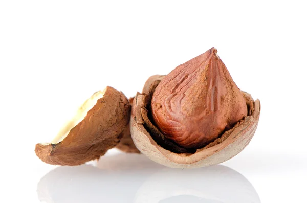 맛 있는 헤이즐넛 — 스톡 사진