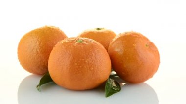Tagerines