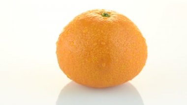 Tagerine