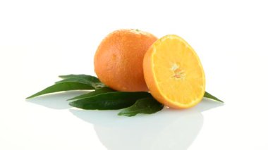 Tagerine
