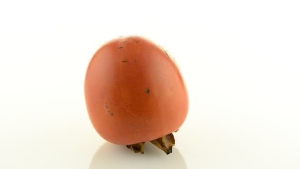 Persimmon mûr rouge 