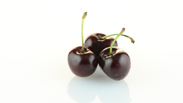 Cherry fruit — Stock Video