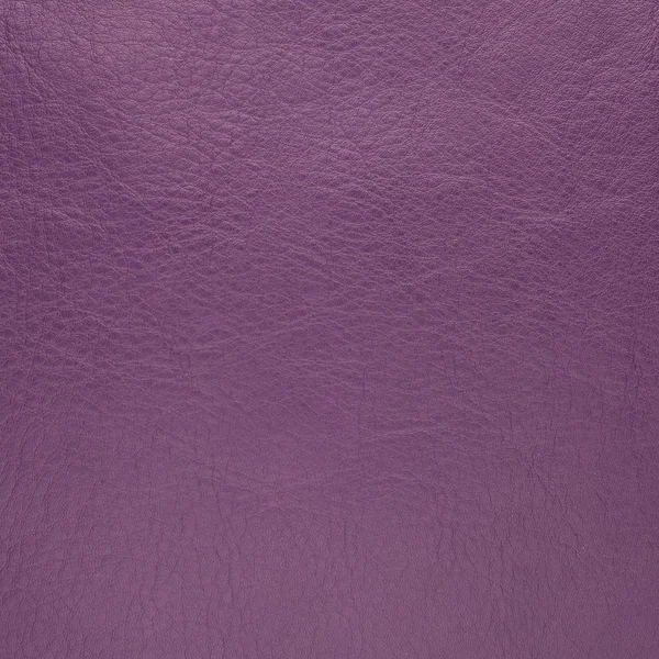 Purple leather — Stock Photo, Image