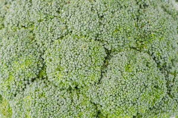 Brocolli achtergrond — Stockfoto