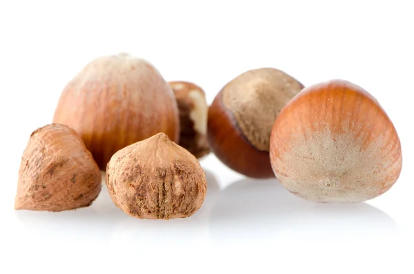 Fresh hazelnuts — Stock Photo, Image