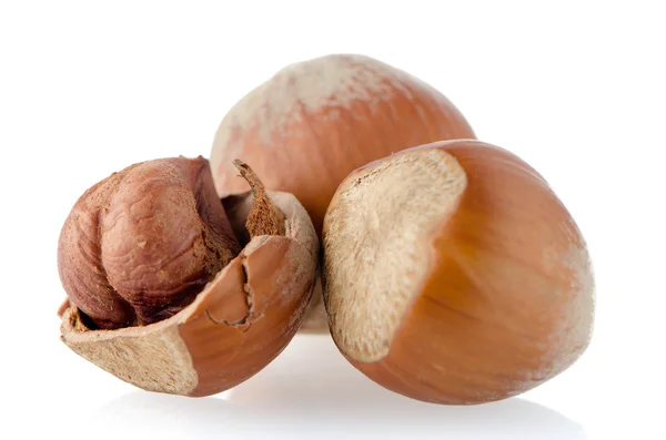 Fresh hazelnuts — Stock Photo, Image