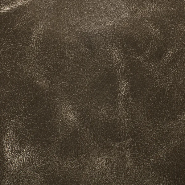 Grey leather texture closeup — Stock Photo, Image