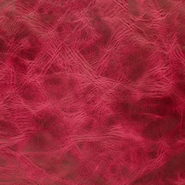 Pink leather texture closeup — Stock Photo, Image