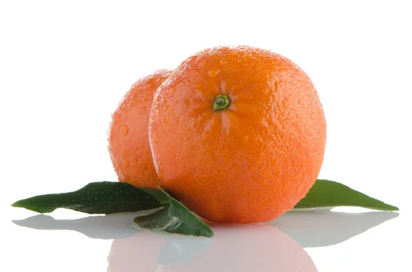 Frische Orangen-Mandarinen — Stockfoto