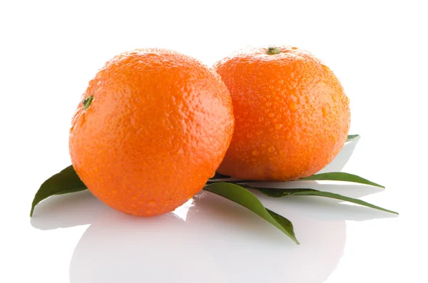 Verse oranje mandarijnen — Stockfoto