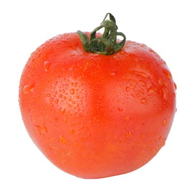 taze kırmızı domates
