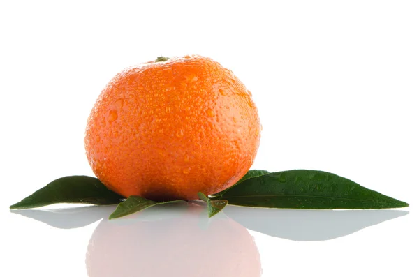 Verse oranje Mandarijn — Stockfoto