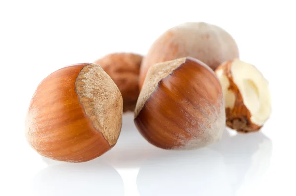 Three hazelnuts — Stock Photo, Image