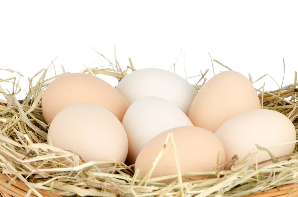 Eggs closeup — Stock Photo, Image