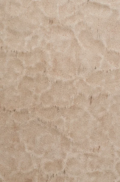 Brown leather texture closeup — Stock Photo, Image
