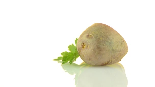 New potato tuber — Stock Video