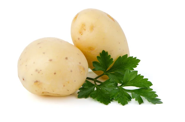 Nové brambory a zelené petrželky — Stock fotografie